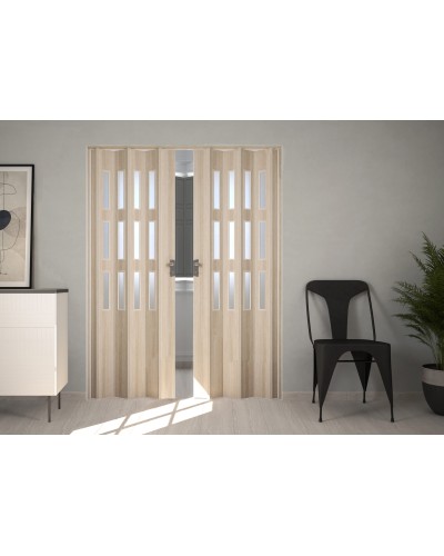 MOLDED FOLDING DOOR WITH 2 DOORS WITH GLASS