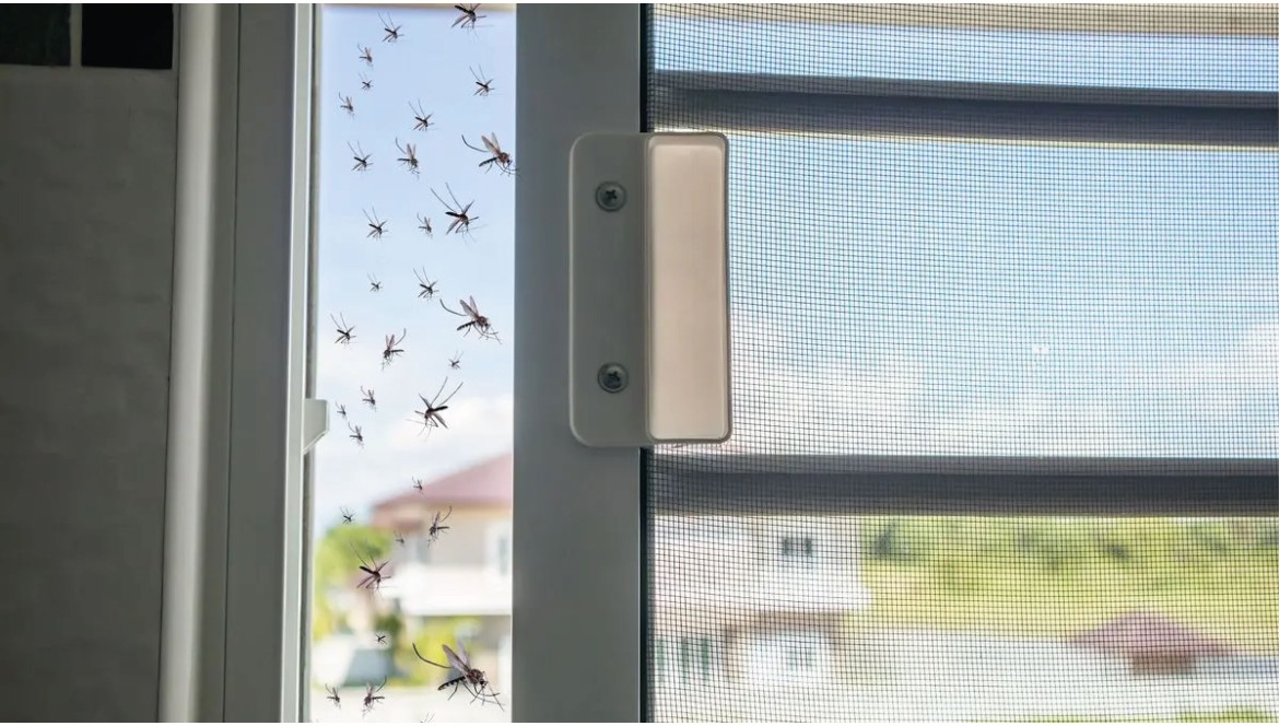 What types of mosquito nets are there?